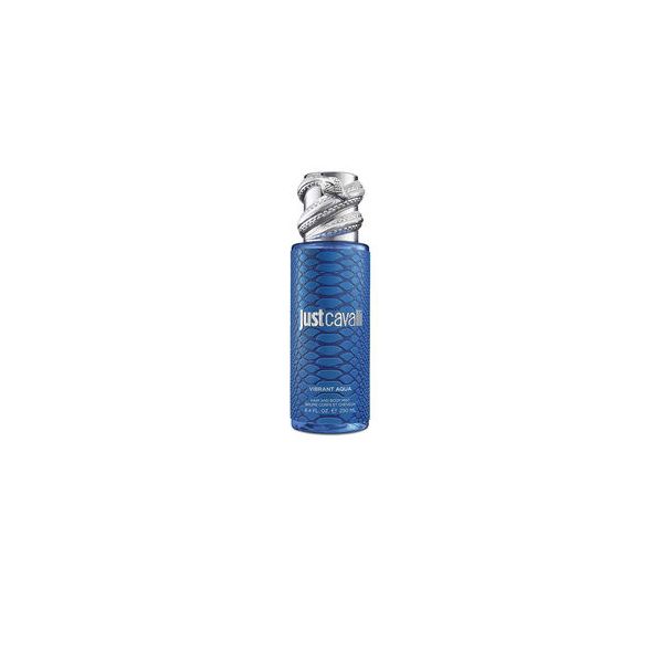 Roberto Cavalli Rc Just Cavalli Mist Blue 250ml