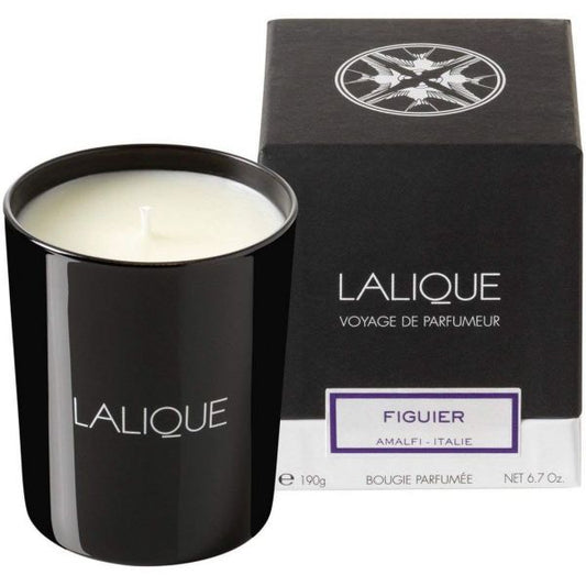 Lalique Candle 190g - Figuier Amalfi